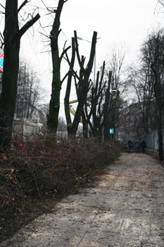 �������� ������� �� �����������