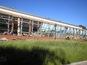 ������������� �������� ����������� ��������� �� ����� ����