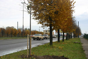 �������������� ������� � ������� ����� � ������