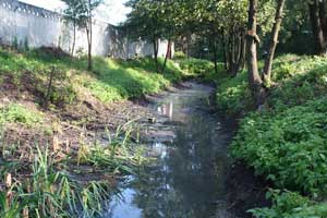 �������: ������������� �������������