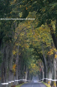 �� ������ ��������� �������