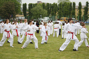 ������ ���������� ������ � �������� �1