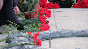 � ���� ������ ������-�������� � �������� �������� � ������