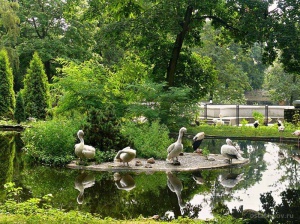 � ������ �������� � ������� ���������������� ��������