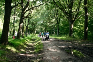 ������ � ������� �� ������������� ����� ������ � �����������