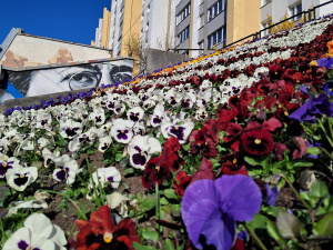 ����������-2026 � ��������: ��������� ������� � ���� ������