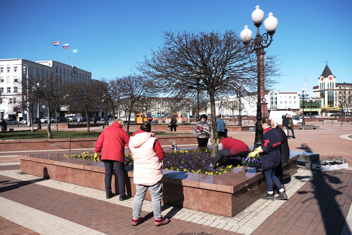 Го город калининград. Го город калининград. Калининград благоустройство дворов. Цветы калининграда на площади победы. Калининград дворы.