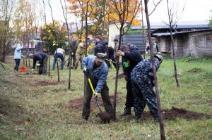 ���������: ����������� ������