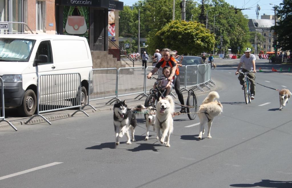 IMG_5815.jpg IMG_5815.jpg