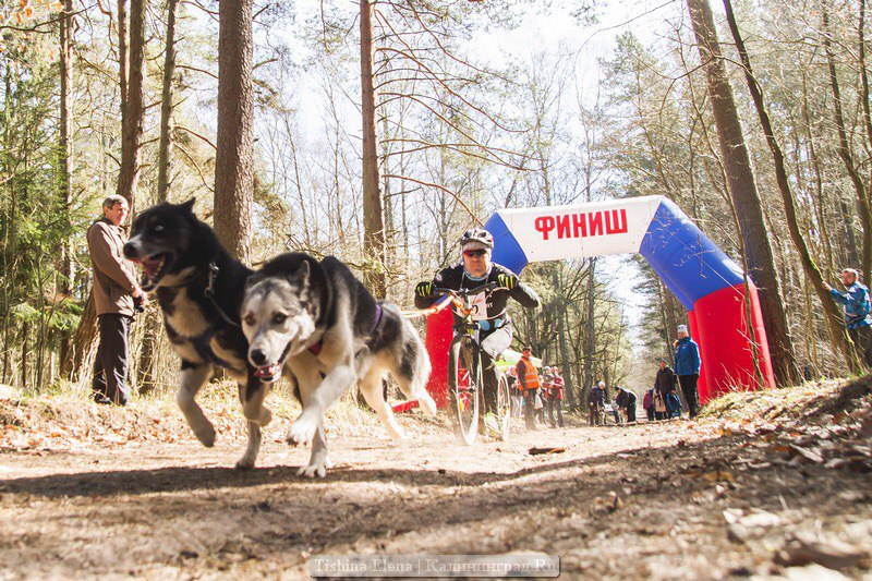 KDcpctpbKm8.jpg KDcpctpbKm8.jpg